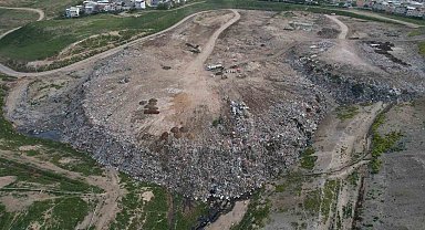 Osmangazi Belediyesi'nin köpek katliamına tepki