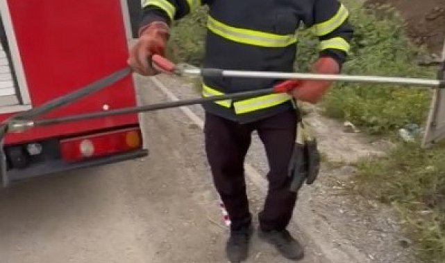 Osmaniye'de elektrik panosuna giren yılanı itfaiye çıkardı