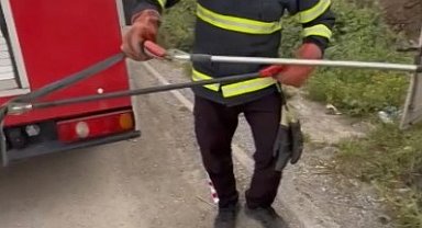 Osmaniye'de elektrik panosuna giren yılanı itfaiye çıkardı