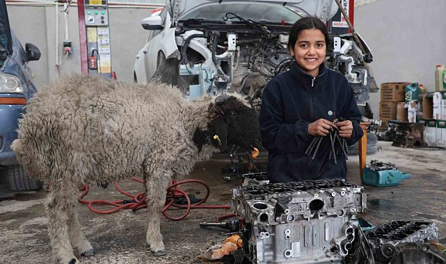 Oto tamirhanesinin 14 yaşındaki Nehir ustasının yeni mesai arkadaşı müşterisinin hediye ettiği kuzu oldu
