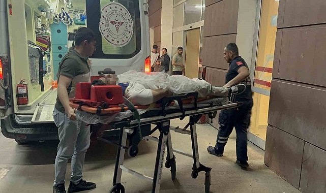 Otomobil ile kamyonet çarpıştı: 4 yaralı