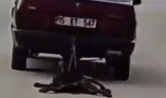 Otomobilin arkasına bağladığı köpeği sürükledi, gözaltına alındı