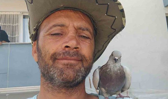 Otomobilin çarptığı engelli birey hayatını kaybetti