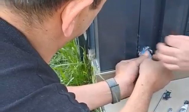 Pervaza sıkışan muhabbet kuşu kurtarıldı