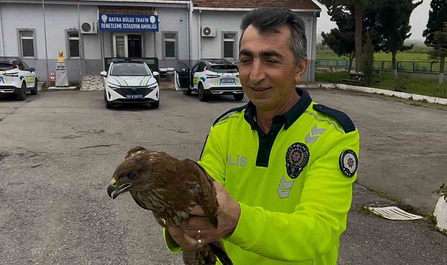 Polisin bulduğu yaralı halde bulduğu doğan koruma altına alındı