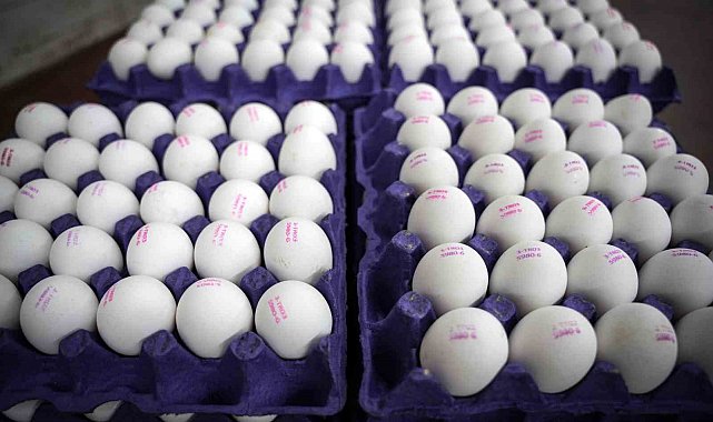 "Tüm Türkiye'ye yetecek kadar yumurtamız var"