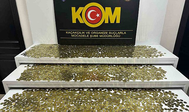 Sahte madeni euro operasyonunda bir şüpheli tutuklandı