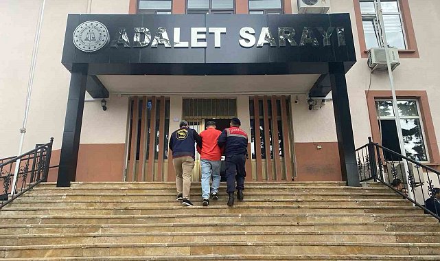 Sahte vali yardımcısı kıskıvrak yakalandı