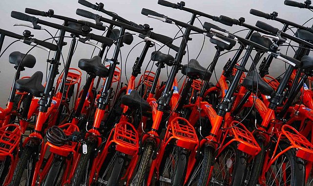 Sakarya Büyükşehir TUBİS'leri rengarenk yaz günleri için hazırladı