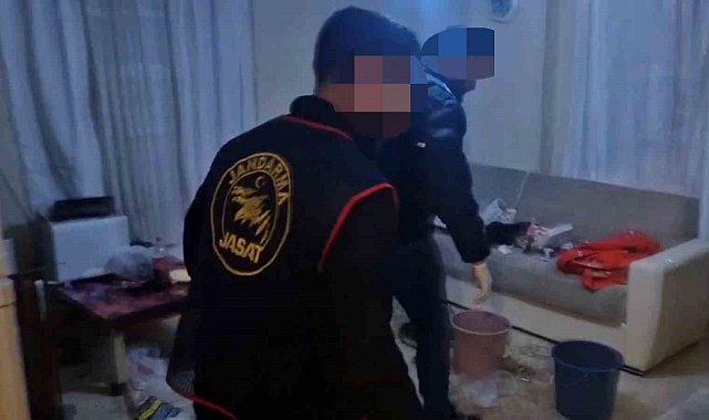 Sakarya'da jandarma operasyonu: 2 tutuklama