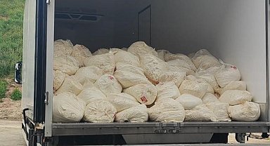 Sakarya'da son kullanma tarihi geçmiş 23 ton lor peyniri ele geçirildi