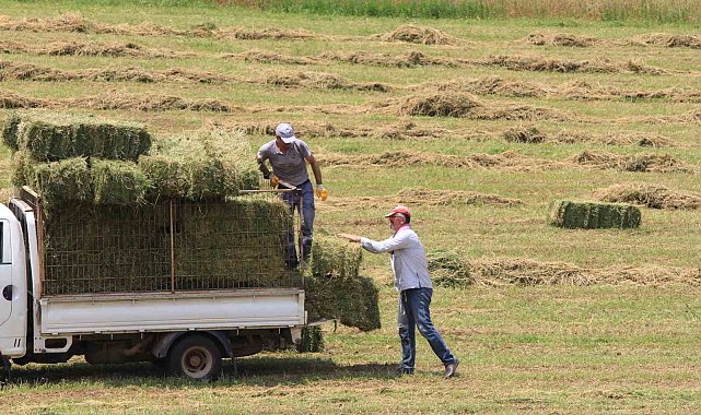 Saman fiyatları 3 ayda yüzde 18,4 yükseldi