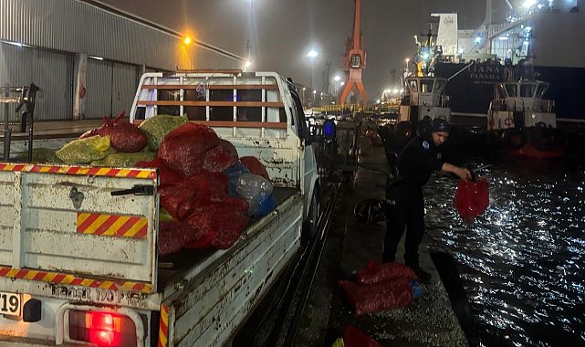 Samsun'da 2 ton kaçak midye ele geçildi
