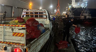 Samsun'da 2 ton kaçak midye ele geçildi