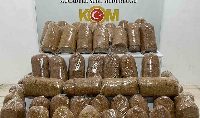 Samsun'da 240 kilo kaçak tütün ele geçirildi