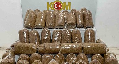 Samsun'da 240 kilo kaçak tütün ele geçirildi