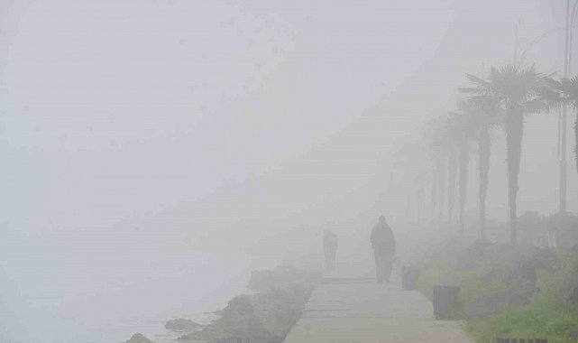 Samsun'da yoğun sis: Göz gözü görmüyor