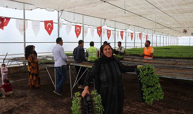 Şanlıurfa bu sene de 'acı'ya doyacak
