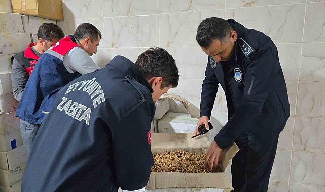 Şanlıurfa'da 11 ton kurtlanmış ceviz içi ele geçirildi
