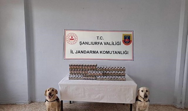 Şanlıurfa'da bin 720 paket kaçak sigara ele geçirildi