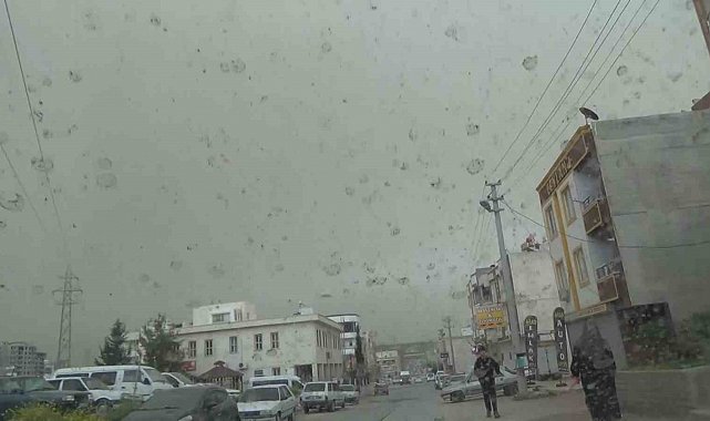 Şanlıurfa'da çamur yağdı