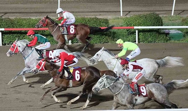 Şanlıurfa'da kurtuluş koşusu düzenlendi