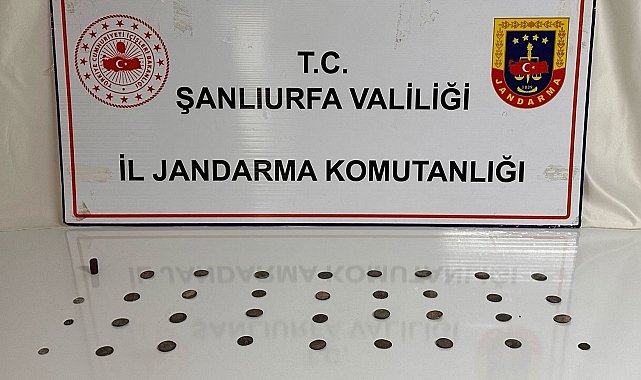 Şanlıurfa'da tarihi eser operasyonu: 2 gözaltı