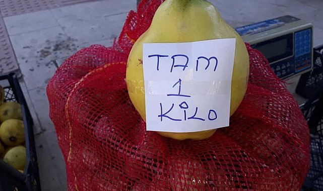 Sarıgöl'de limon ayva üretimi yaygınlaşıyor