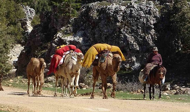Sarıkeçili Yörükleri yaylalara göç yolculuğuna başladı