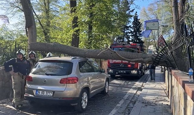 Sarıyer'de şiddetli rüzgarda ağaç otomobilin üzerine devrildi