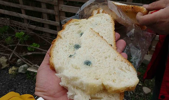 Satın aldığı ekmek küflü ve çift etiketli çıktı, şikayetçi oldu