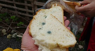 Satın aldığı ekmek küflü ve çift etiketli çıktı, şikayetçi oldu