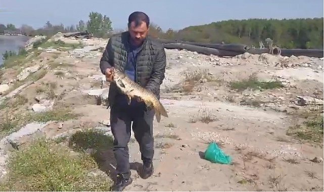 Sazanı ekskavatörle kurtarıp serbest bıraktı