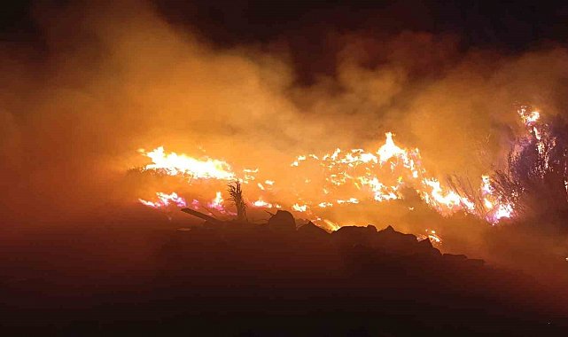 Sazlık alanda çıkan yangın büyümeden kontrol altına alındı