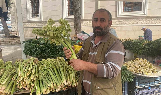 Şifa deposu ışkın, tezgahtaki yerini aldı