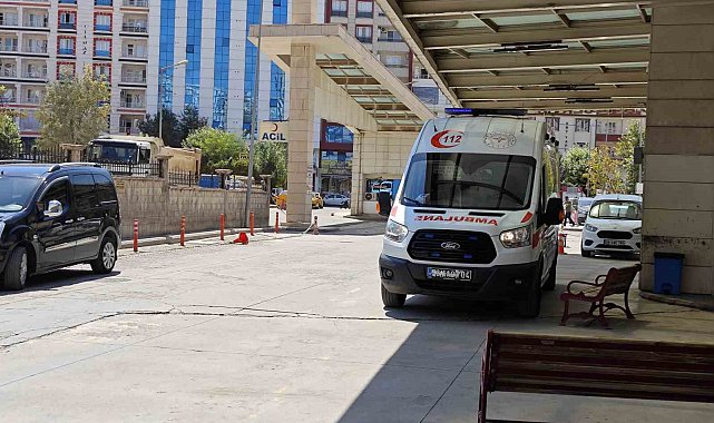 Siirt'te atın ısırdığı çocuk ağır yaralandı