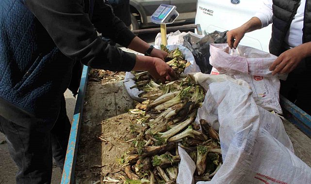 Siirt'te şifa deposu olarak bilinen kenger tezgahlarda yerini aldı