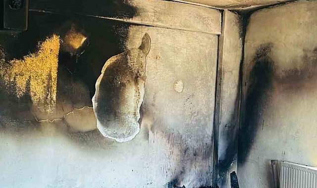 Siirt'te sobadan çıkan kıvılcımlar evi küle çevirdi