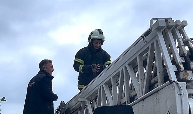 Sinop'ta çamaşır iplerine dolanan güvercin kurtarıldı