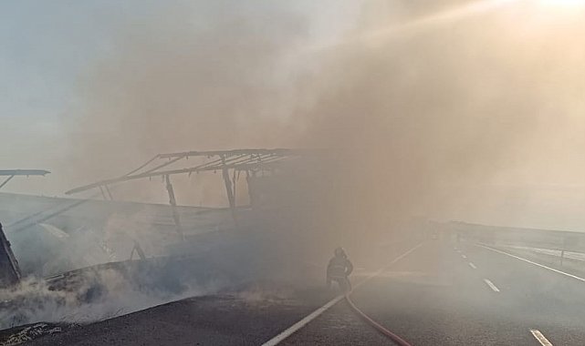 Şırnak'ta seyir halindeki tır alevlere teslim oldu