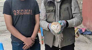 Şırnak'ta yaralı bulunan yaban hayvanları DKMP ekiplerine teslim edildi