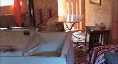 Sis Dağı Yaylası'nda ayıların yayla evlerindeki talanı sürüyor