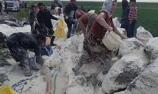 Siverek'te un yüklü tır devrildi: Çevreye saçılan unu vatandaşlar topladı