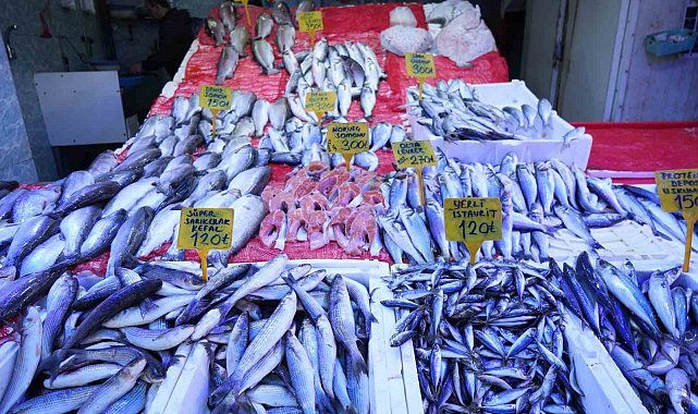 Soğuk havalar balıkçılara yaradı