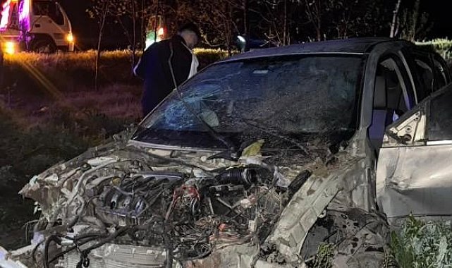 Söğütlü'de tarlaya uçan otomobildeki 4 kişi yaralandı