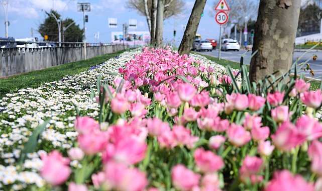 Sultangazi'nin cadde ve sokaklarına bahar geldi