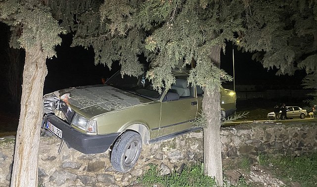 Sürücüsü kalp krizi geçiren otomobil ağaca çarptı: 1 ölü