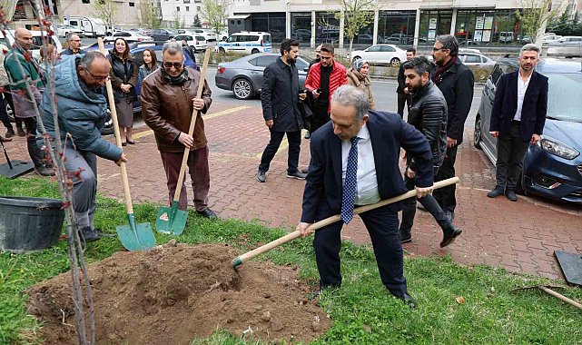 Talas'ta anlamlı fidan dikimi