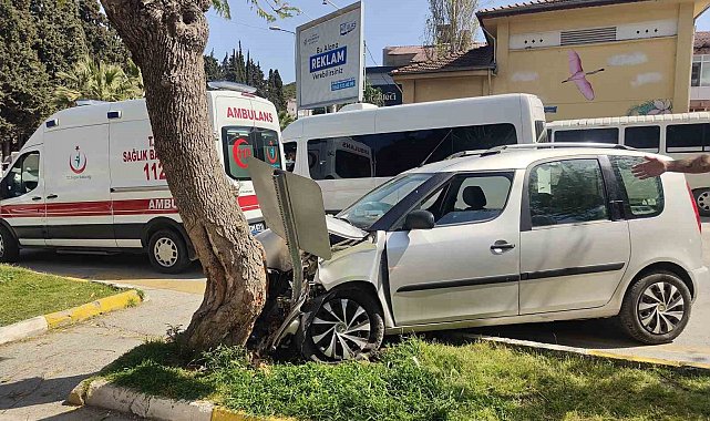Tansiyonu düşen sürücü, yayalara çarpmamak için ağaca çarptı