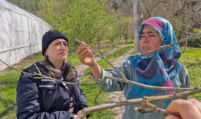 Tarım alanlarında "zarar tespit" incelemesi